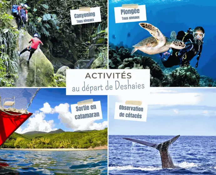 Mieux louer sur Airbnb